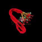 Amina Red Lachha DHAGO/PIRANDA